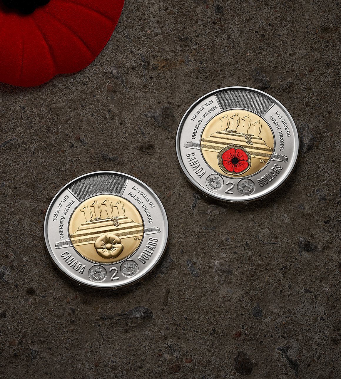 추모와 의미: 전쟁 기념물이 중요한 이유