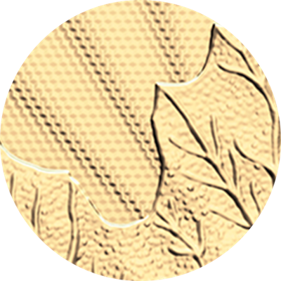 2026 순수한 메이플 리프 – 1온스 99.999% 순금 주화 (프리미엄 불리언) 특징