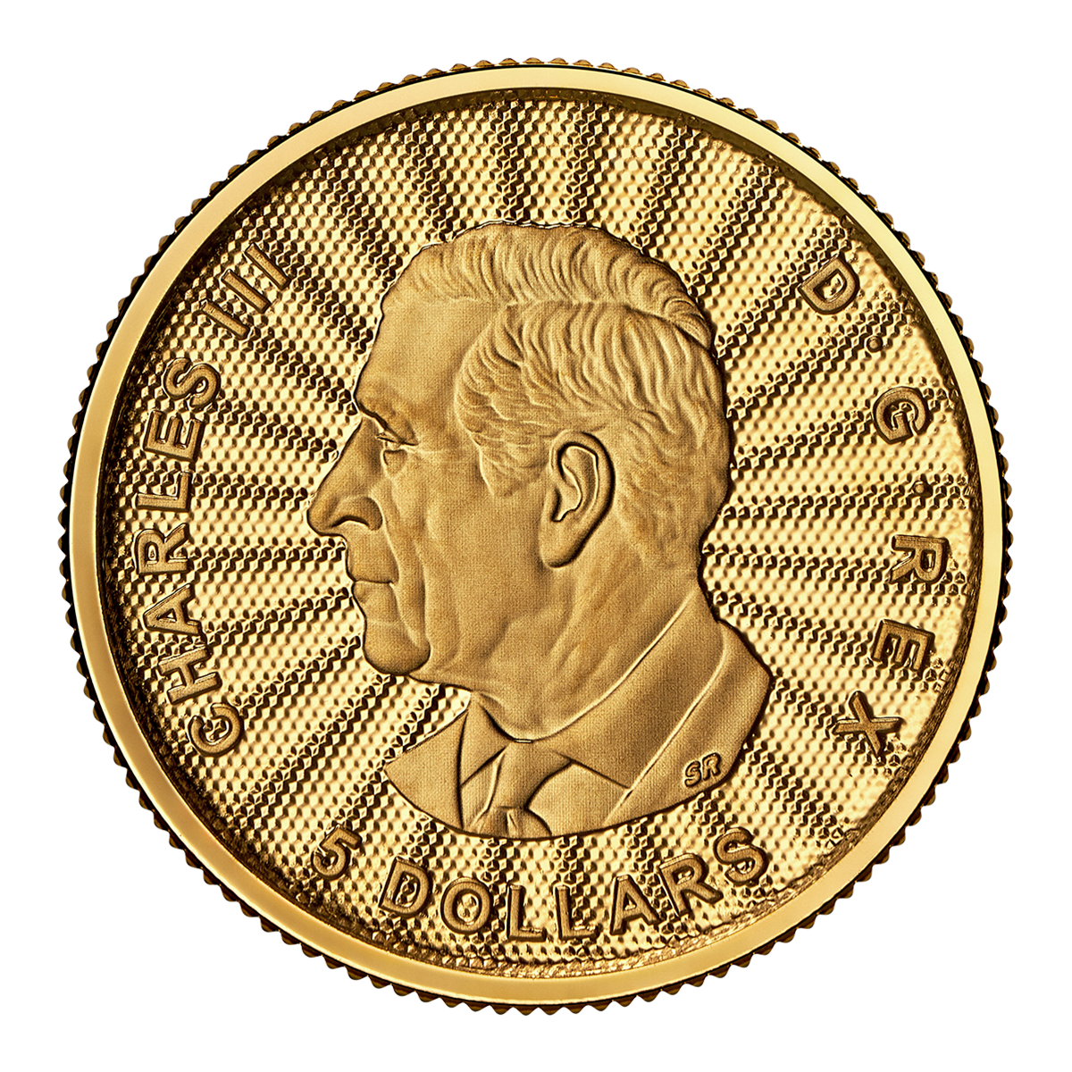 2025년 장엄한 북극곰 – 1/10온스 99.99% 순금 동전 (프리미엄 불리언)