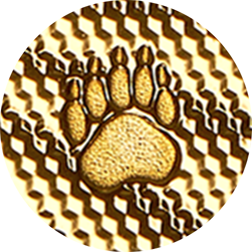 2025년 장엄한 북극곰 – 1/10온스 99.99% 순금 동전 (프리미엄 불리언)