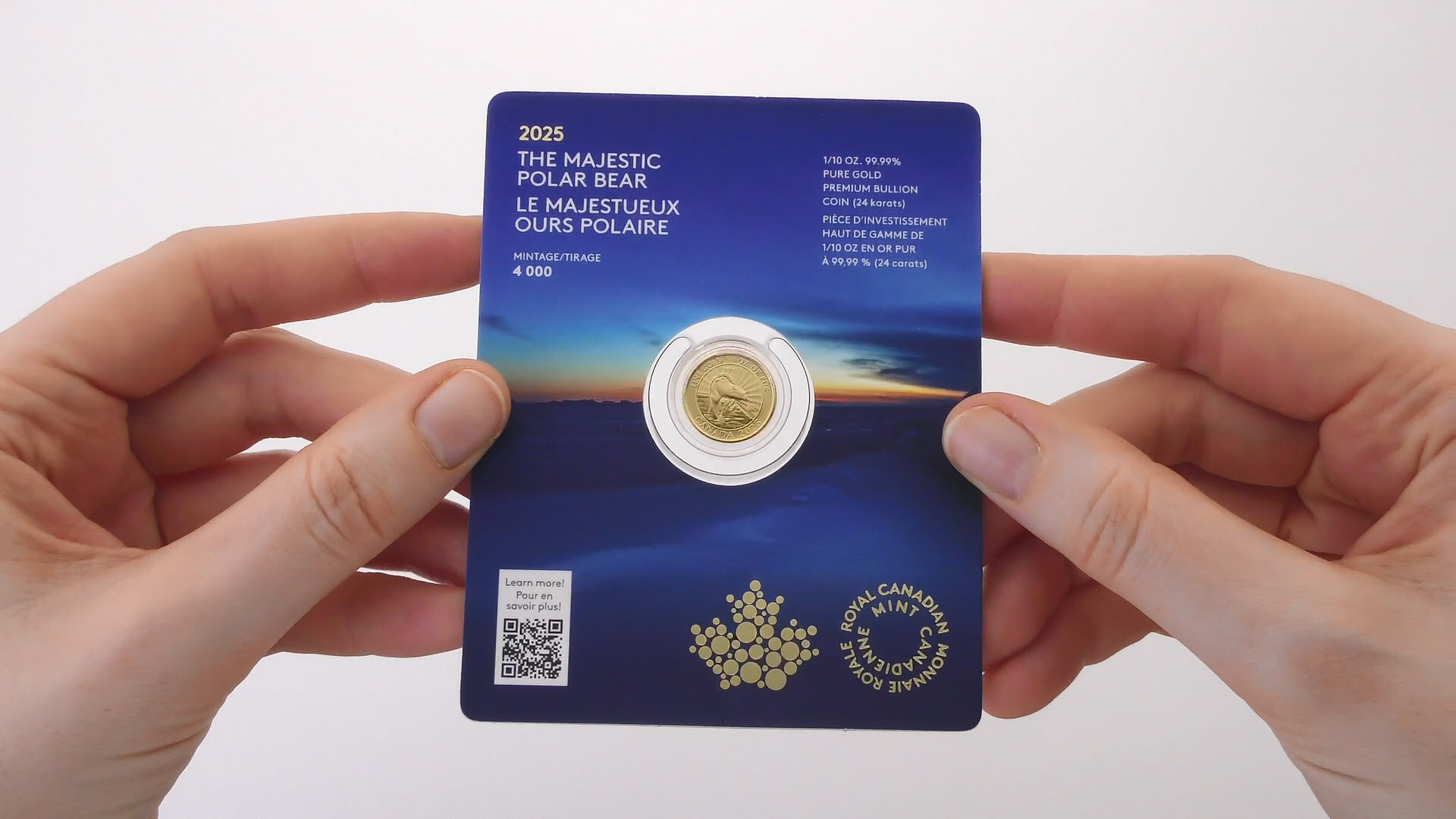 2025년 장엄한 북극곰 – 1/10온스 99.99% 순금 동전 (프리미엄 불리언)