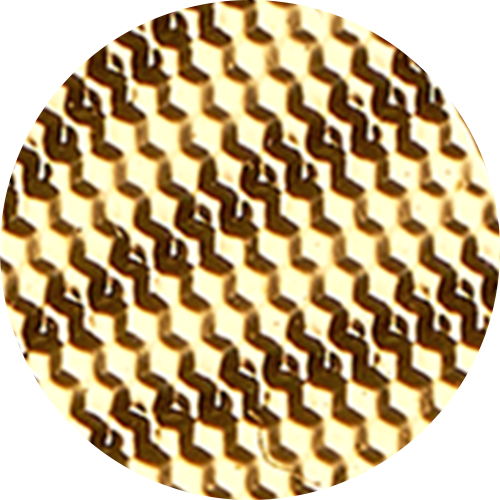 2025년 장엄한 북극곰 – 1/10온스 99.99% 순금 동전 (프리미엄 불리언)