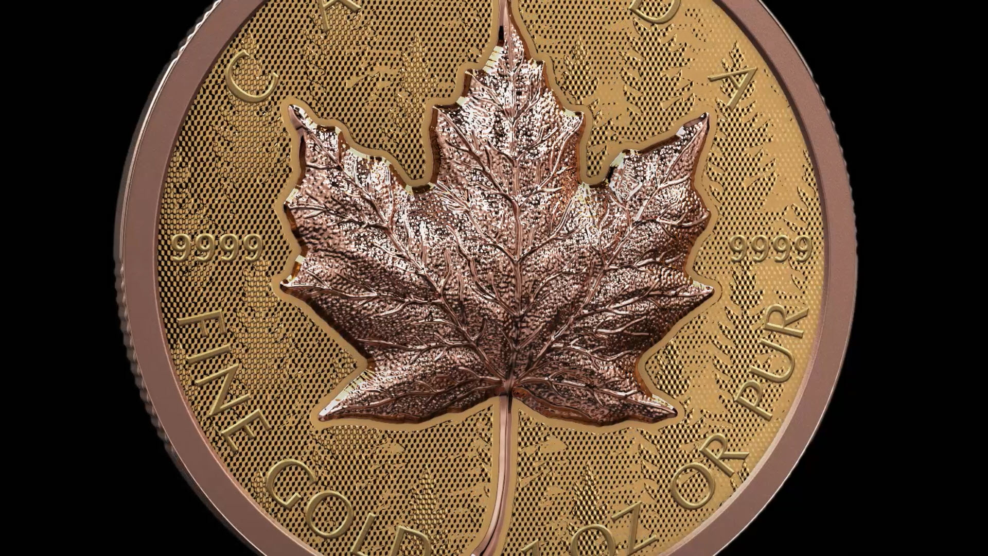 골드 메이플 리프 – 순금 초고입체 동전 (2025)