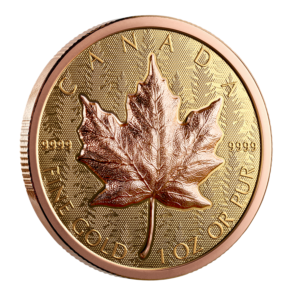 골드 메이플 리프 – 순금 초고입체 동전 (2025)