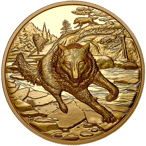 위대한 사냥꾼: 회색 늑대 – 1온스 순금 울트라 하이 릴리프 동전