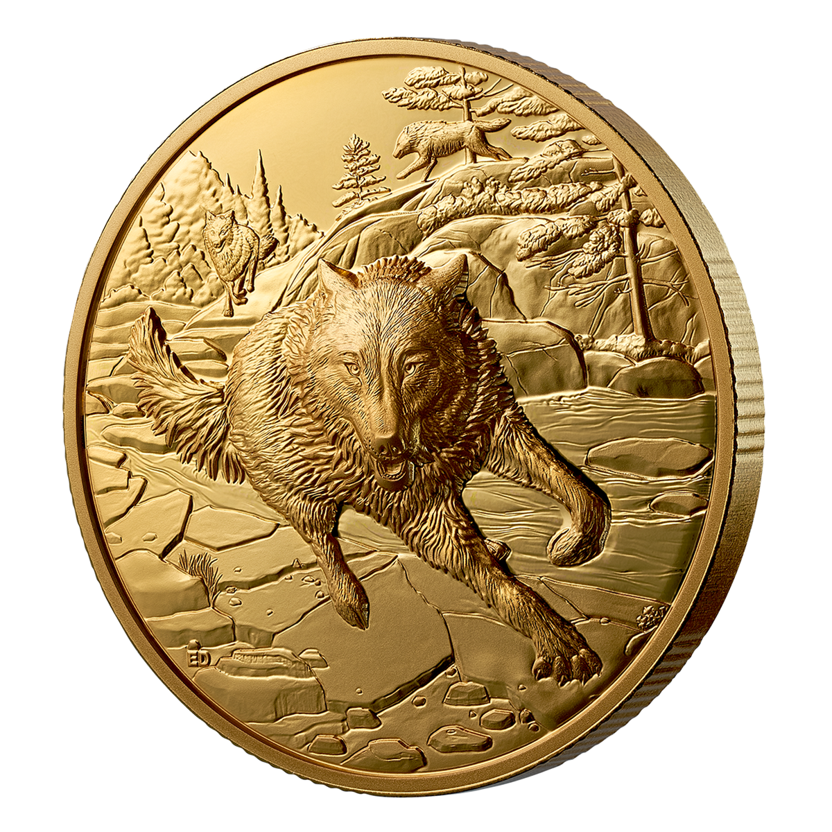 위대한 사냥꾼: 회색 늑대 – 1온스 순금 울트라 하이 릴리프 동전