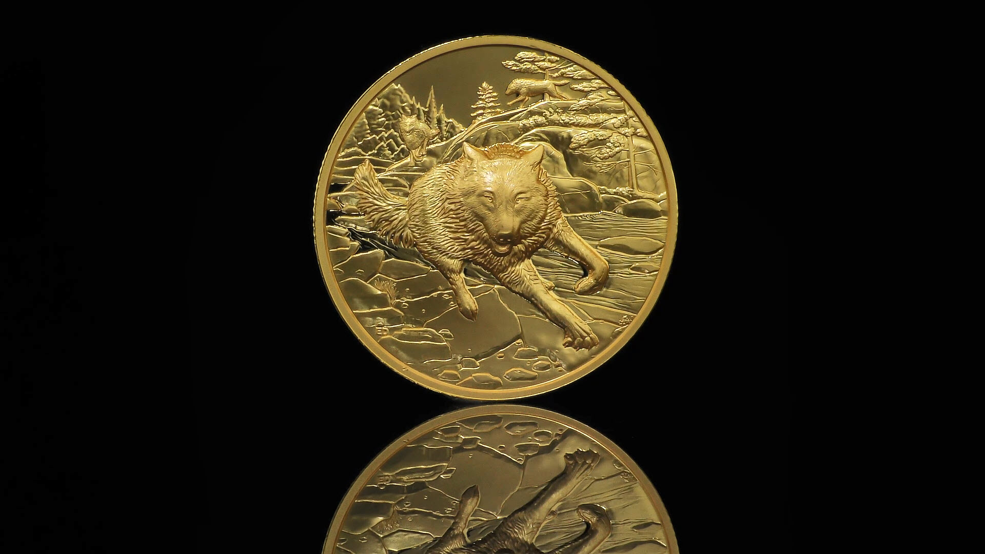 위대한 사냥꾼: 회색 늑대 – 1온스 순금 울트라 하이 릴리프 동전