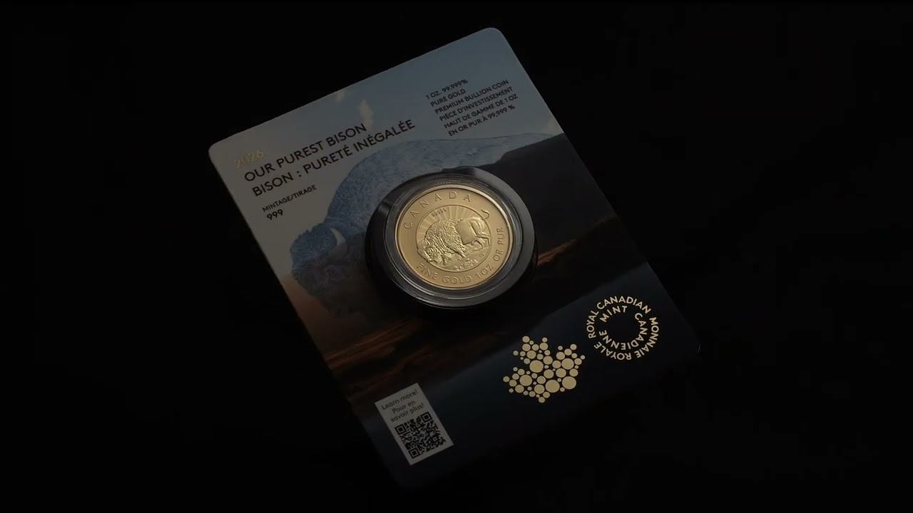 2026년 우리의 가장 순수한 바이슨 – 1온스 99.999% 순금 동전 (프리미엄 불리언)