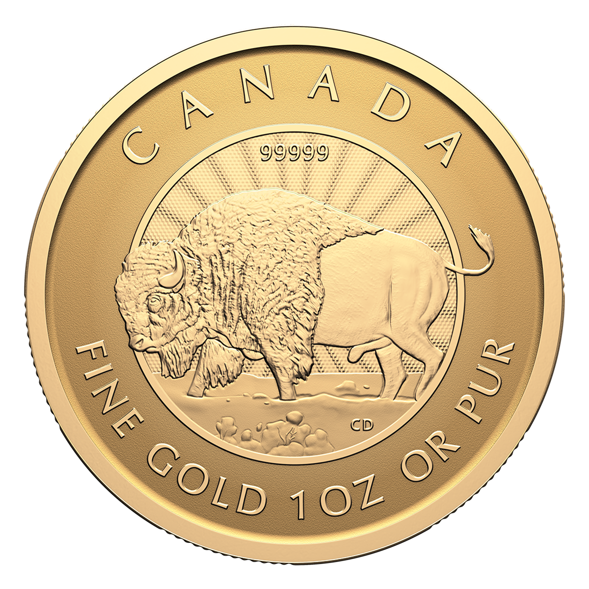 2026년 우리의 가장 순수한 바이슨 – 1온스 99.999% 순금 동전 (프리미엄 불리언)