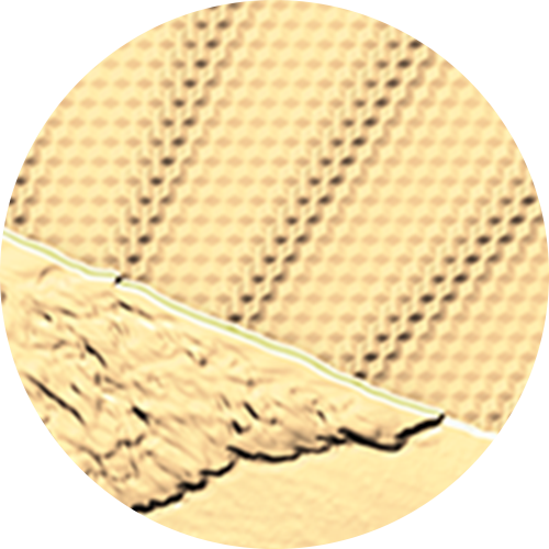 2026년 우리의 가장 순수한 바이슨 – 1온스 99.999% 순금 동전 (프리미엄 불리언)