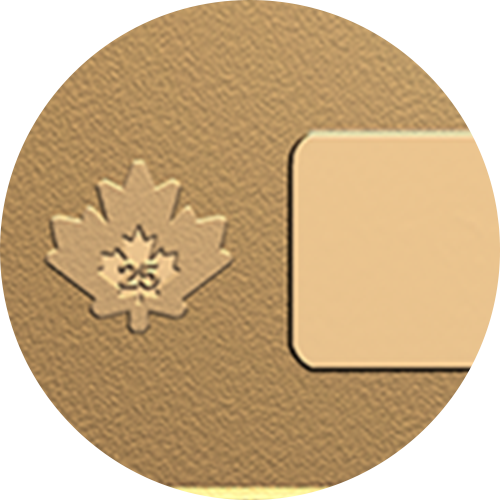 2025년 뱀의 해 – 10그램 99.99% 순금 바 (프리미엄 불리언)