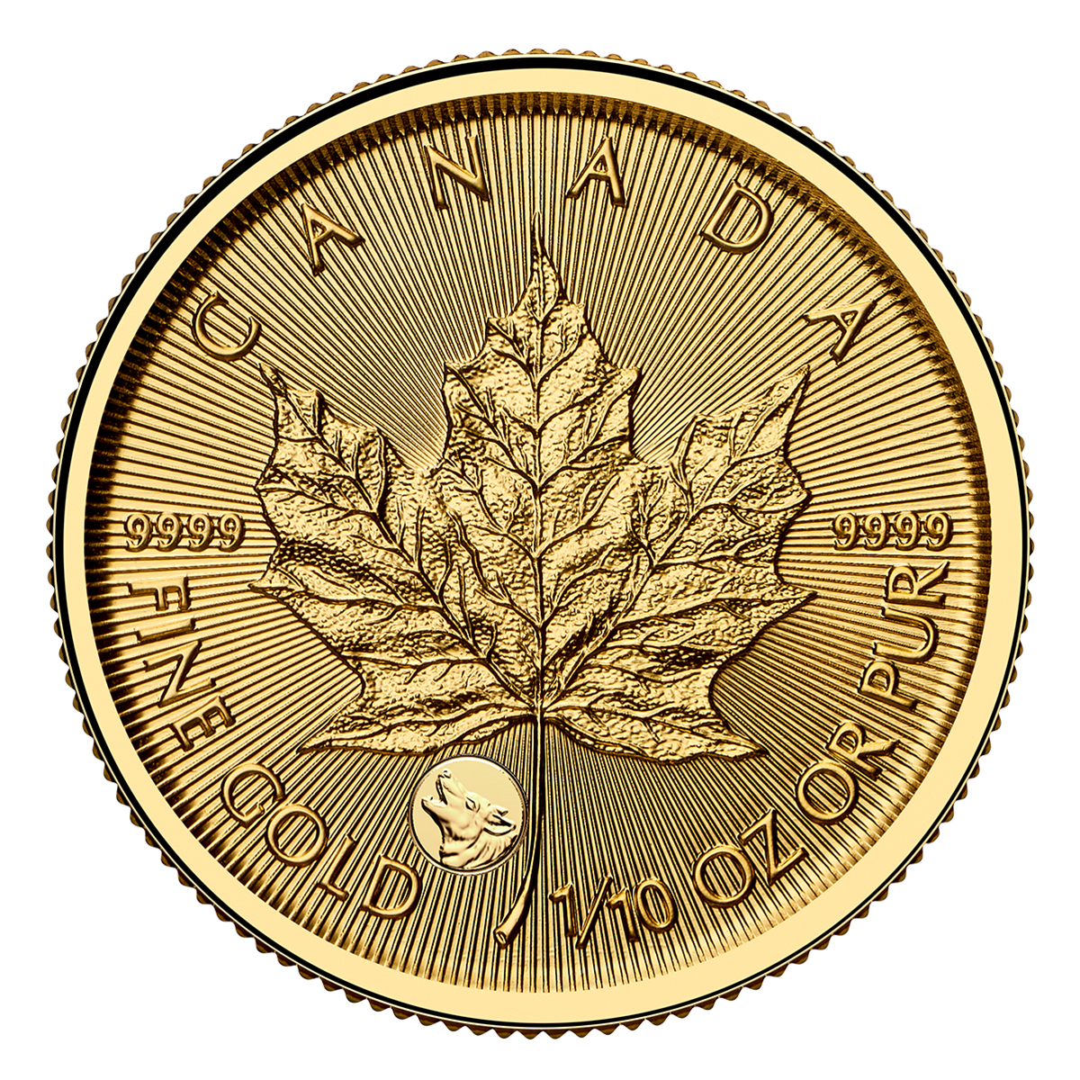 2026년 소중한 금 메이플 리프: 늑대 프라이비 마크 - 1/10온스 99.99% 순금 동전 (프리미엄 불리언)