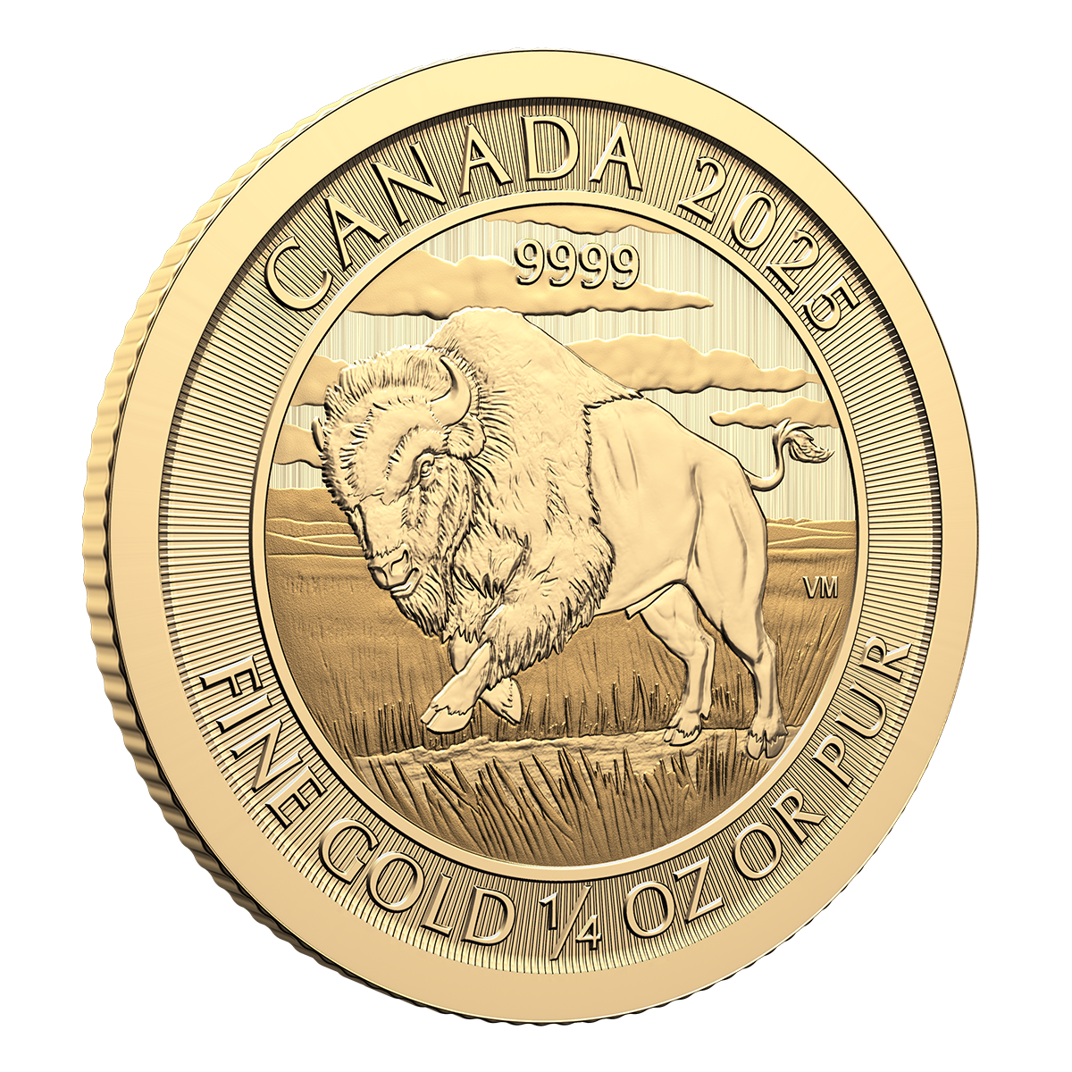 바이슨 - 2025년 1/4온스 99.99% 순금 주화 (불리언)