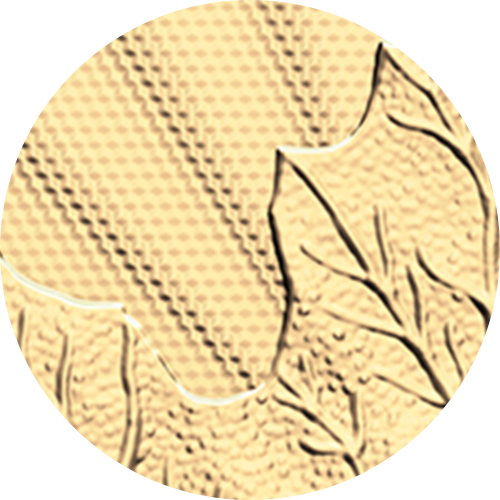 2026 순수한 메이플 리프 – 1온스 99.999% 순금 주화 (프리미엄 불리언)