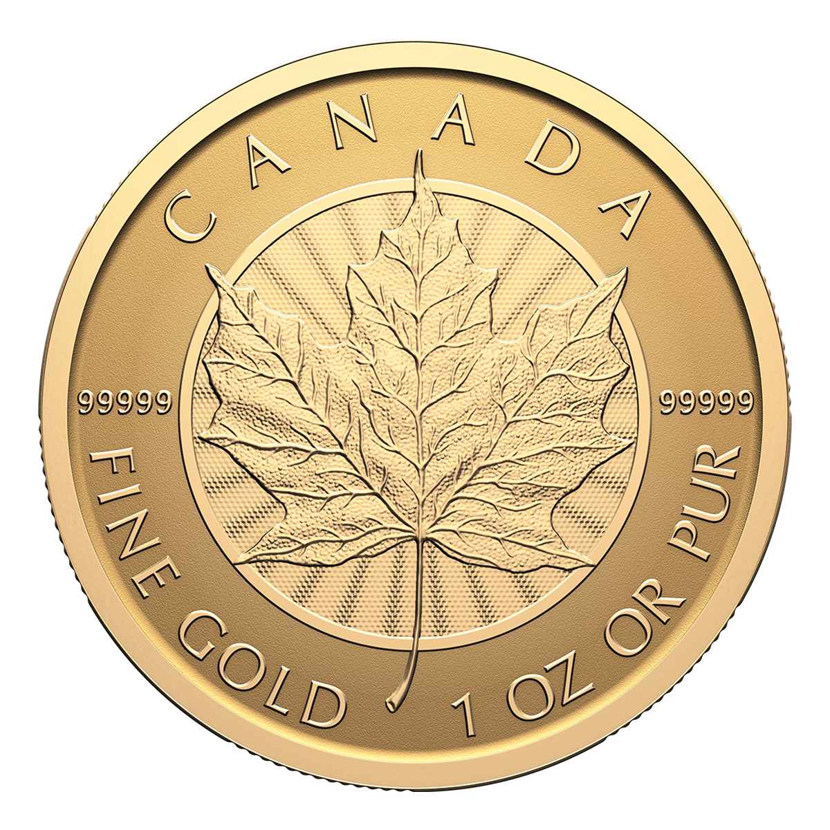 2026 순수한 메이플 리프 – 1온스 99.999% 순금 주화 (프리미엄 불리언)