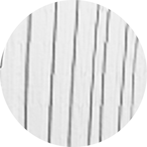 헌터 – 10온스 순은 동전