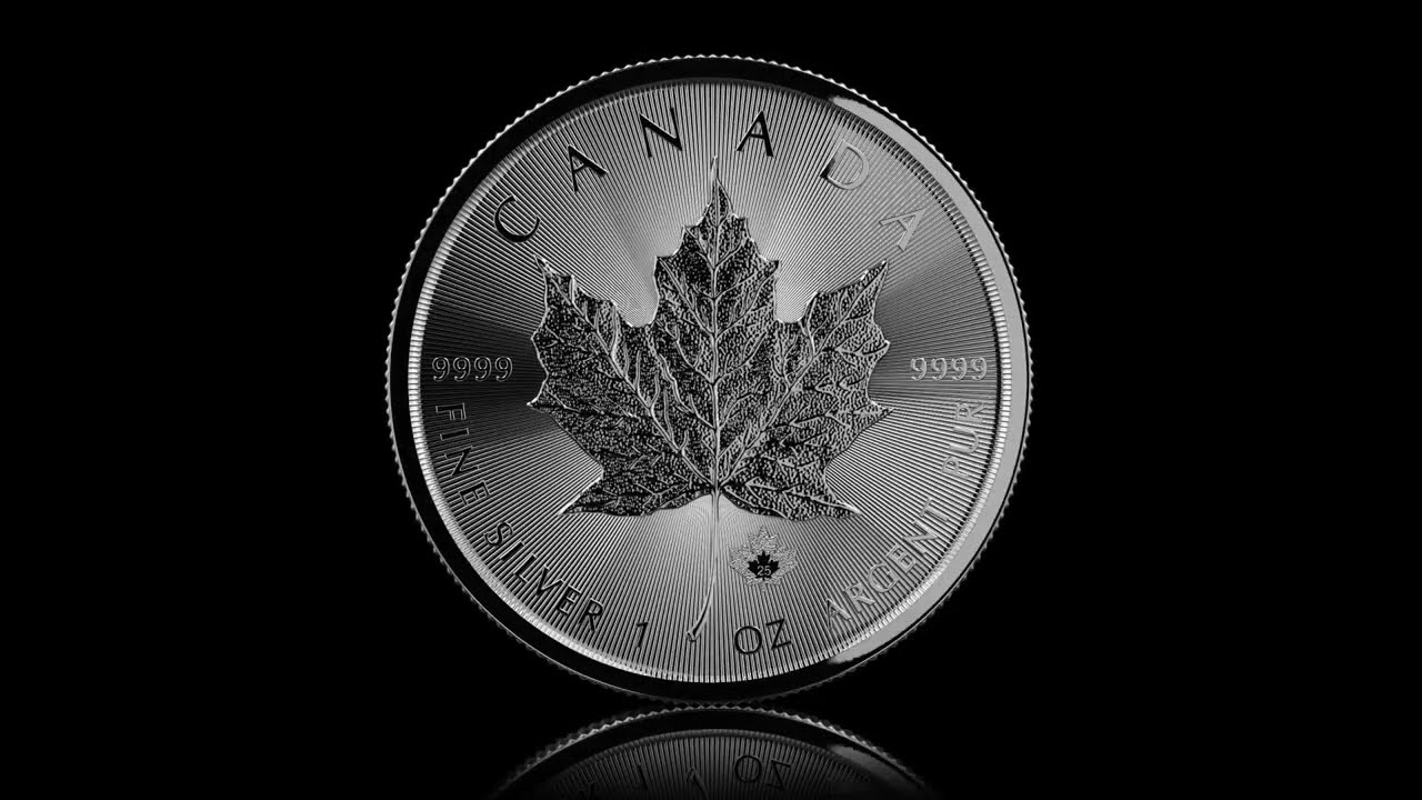 SML - 1온스. 99.99% 순은 코인 (금괴) (2025)