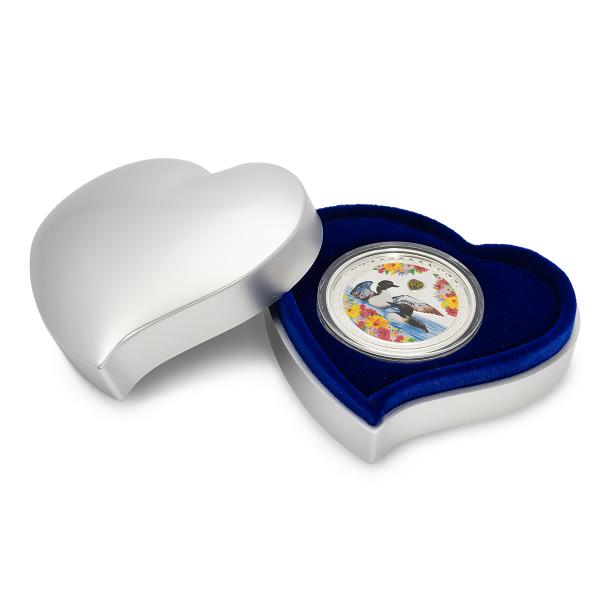 사랑은 소중해 – 노던 다이버 - 순은 동전