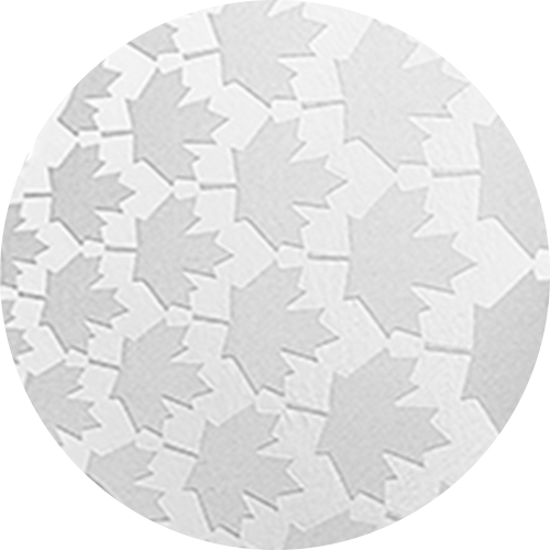 귀한 메이플 리프 — 순은 동전