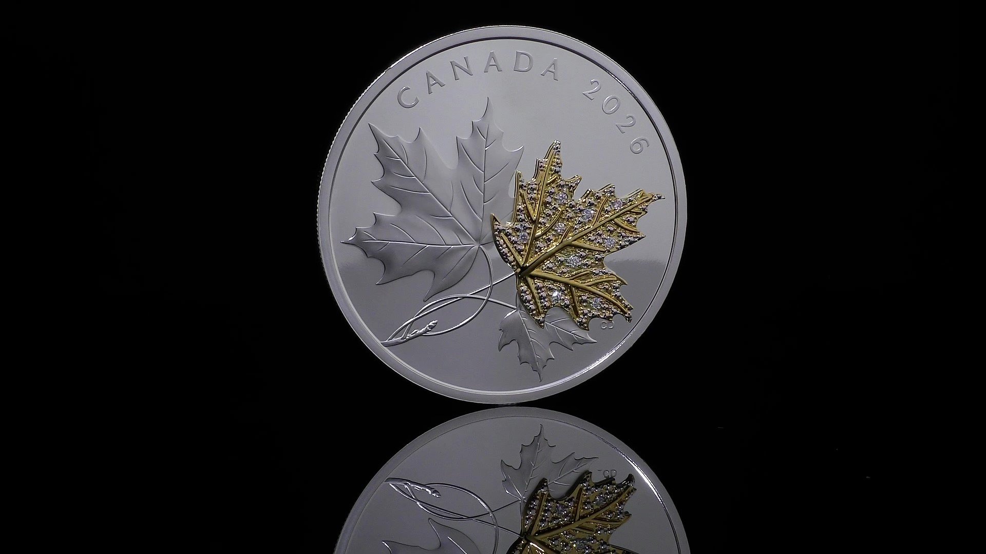 귀한 메이플 리프 — 순은 동전